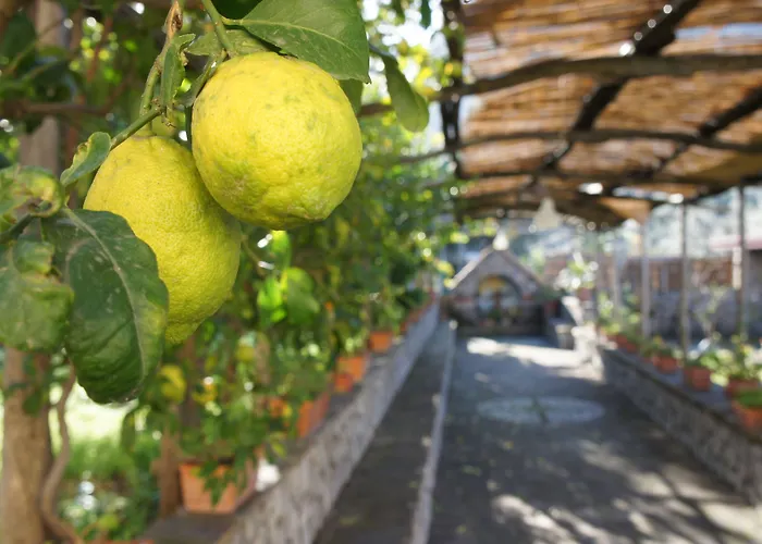 San Francesco Relais